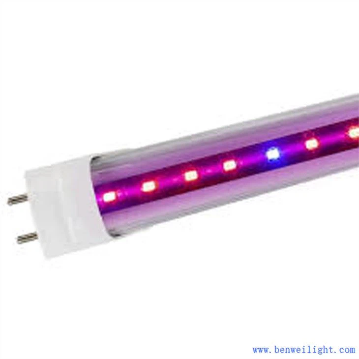 Crescer leve e ficar de pé