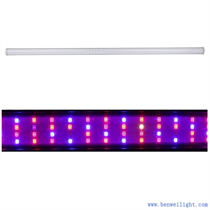 grown light controller