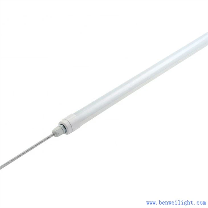 Galinhas precisam de luz ultravioleta
