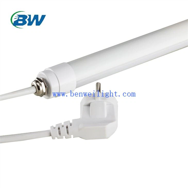 Luzes led para galinhas poedeiras