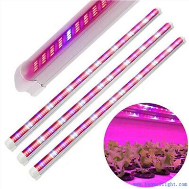 Um Grow Light Barato