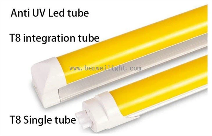 Luz de tubo de bloqueio UV T8
