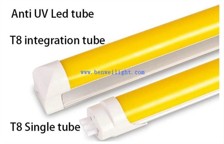 T8 FILTER 480NM-520NM Anti-UV yellow LED TUBE