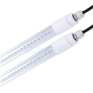 Iluminação LED para Aves