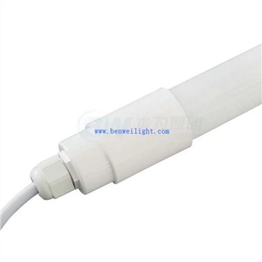 Luzes LED para criadores