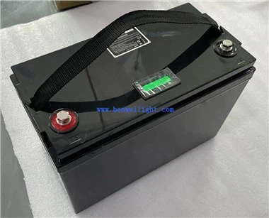 Bateria de íon de lítio 48v para preço de E Rickshaw