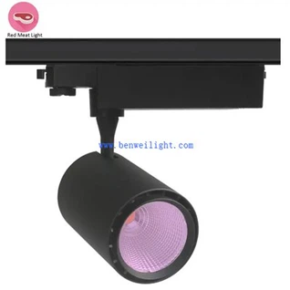 Faróis de Carne Fresca