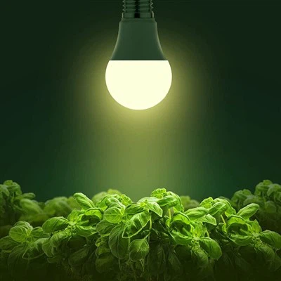 Cultive lâmpadas para plantas de interior