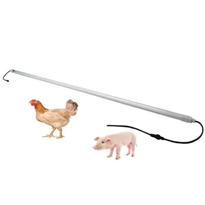 Luzes LED para celeiro internas