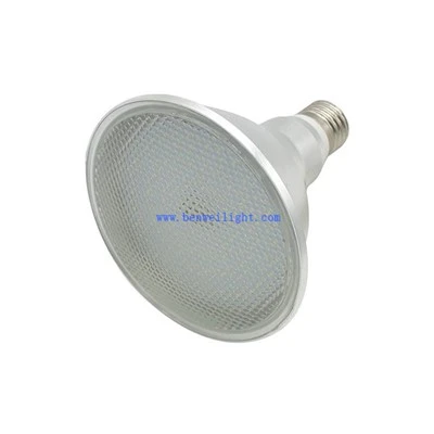 Lâmpadas de foco de LED PAR30