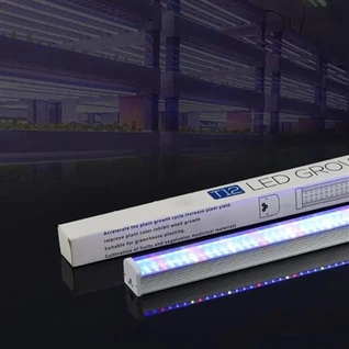Tubo de luz de crescimento T12
