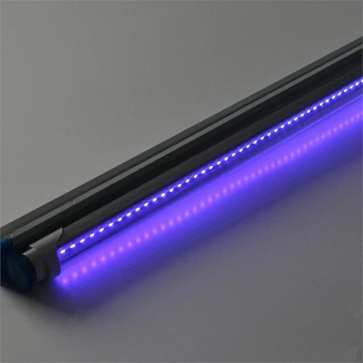 light that kills mosquitoes
