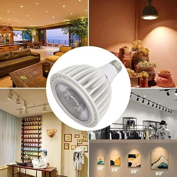 PAR30 Spotlight LED Bulb 30 Watt COB (200 Watt Eqv.) 3000 Lumens Flood Light Bulbs suppliers