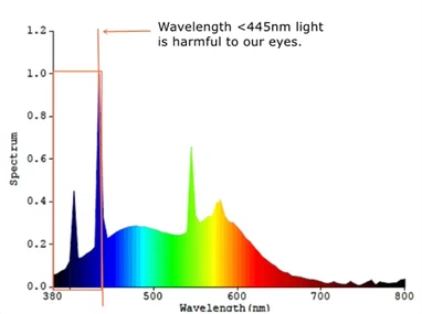 info-450-336 info-450-336