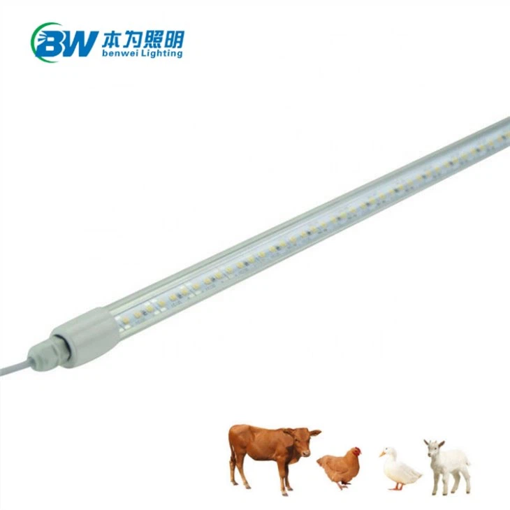 Tubo LED para aves à prova d'água regulável