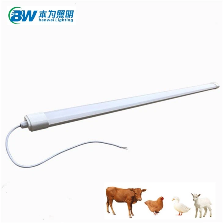 Luzes tubulares LED para aves à prova d'água reguláveis