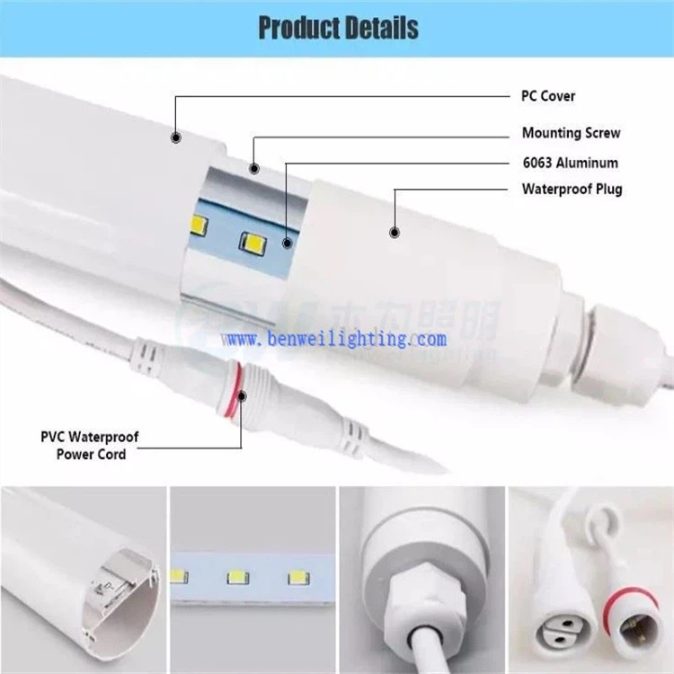 LED poultry light LED poultry light