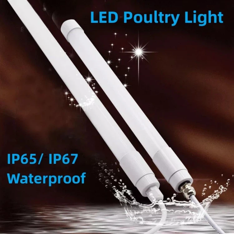 led tube lights 12v led tube lights 12v