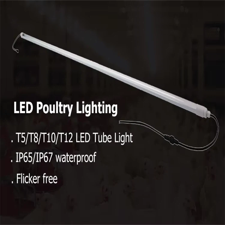 product-750-750 product-750-750