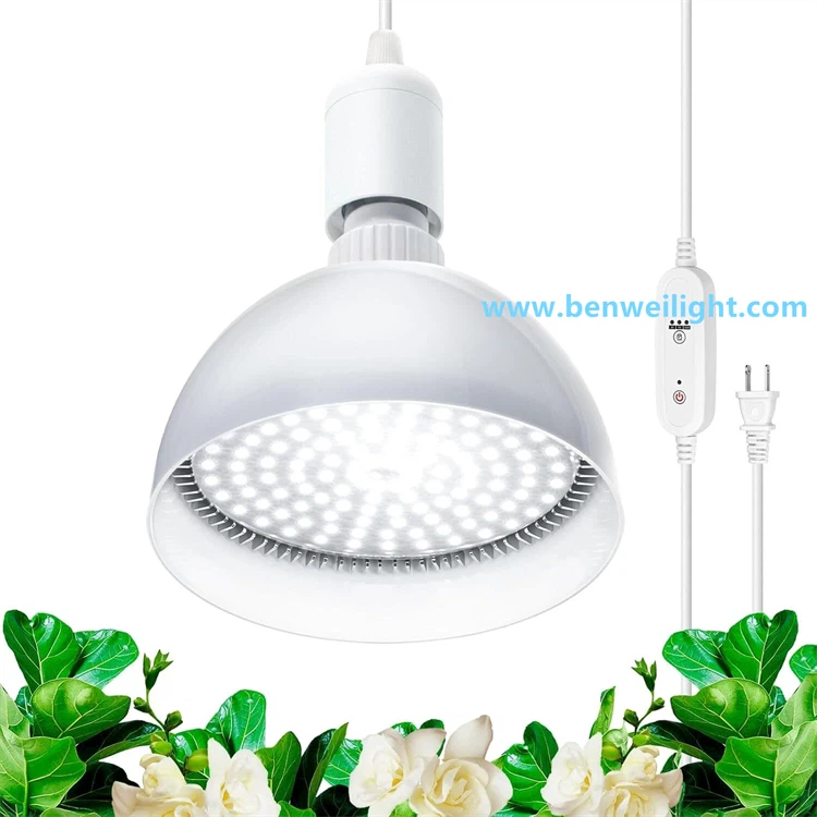product-750-750 product-750-750