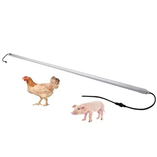 Luz LED azul para aves regulável 2700-6500k