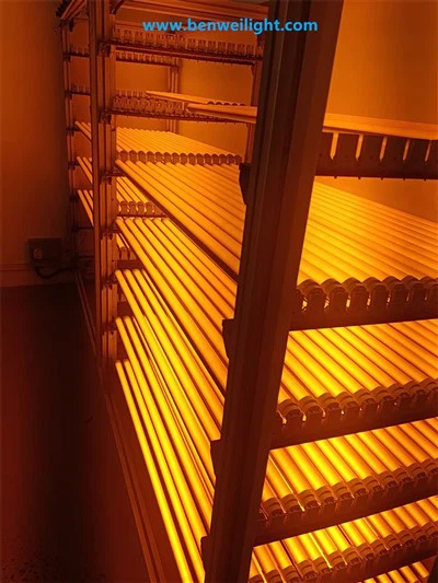 Escudo de luz azul e UV de tubo T8: bloqueia raios abaixo de 500 nm