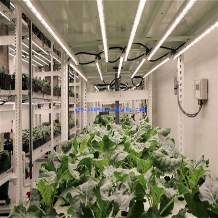 grow led tube installation 3 grow led tube installation 3